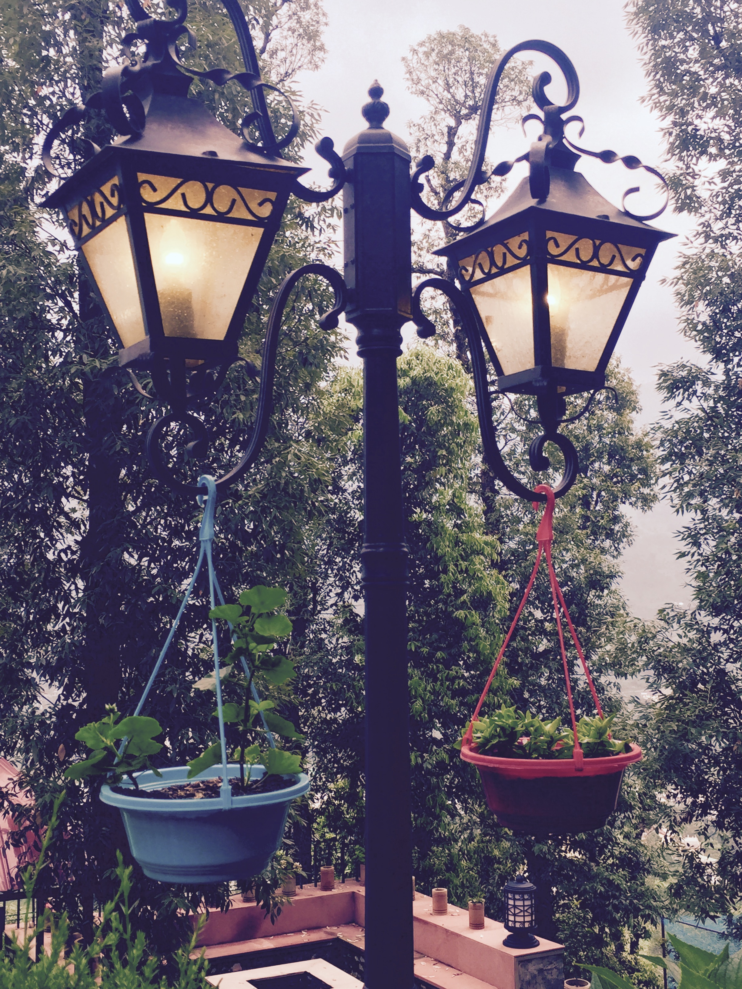 Fern Hillside Resort Bhimtal